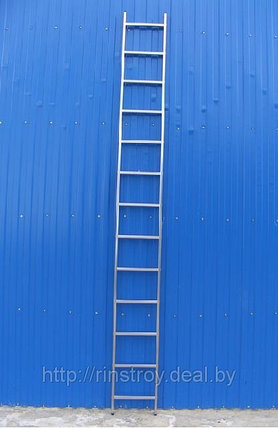 Лестница односекционная алюминиевая 5109, h=251 см, фото 2