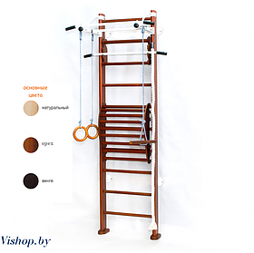 Детский спортивный комплекс Карусель 2Д.03.03 к стене с тренажером для осанки №2 (Россия)