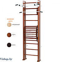 Детский спортивный комплекс Карусель 2Д.03.02 к стене с тренажером для осанки №2 (Россия)