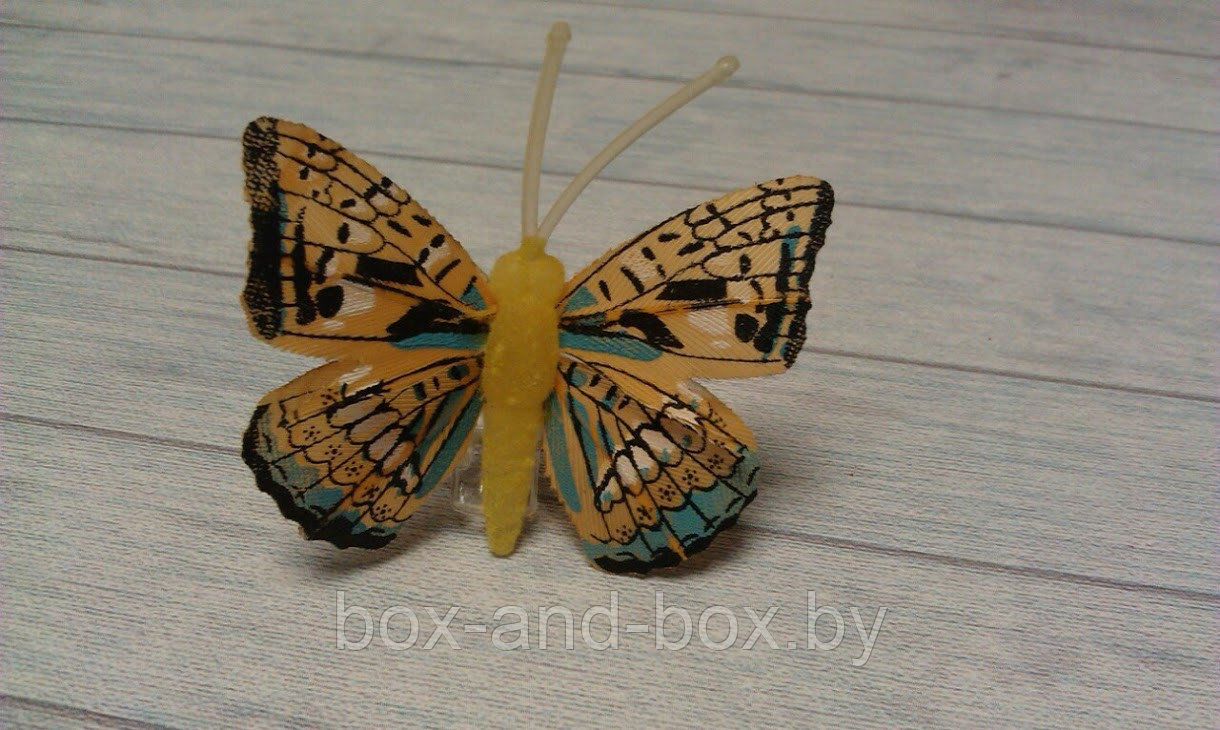 Бабочка на прищепке 4 см - фото 1 - id-p61038388