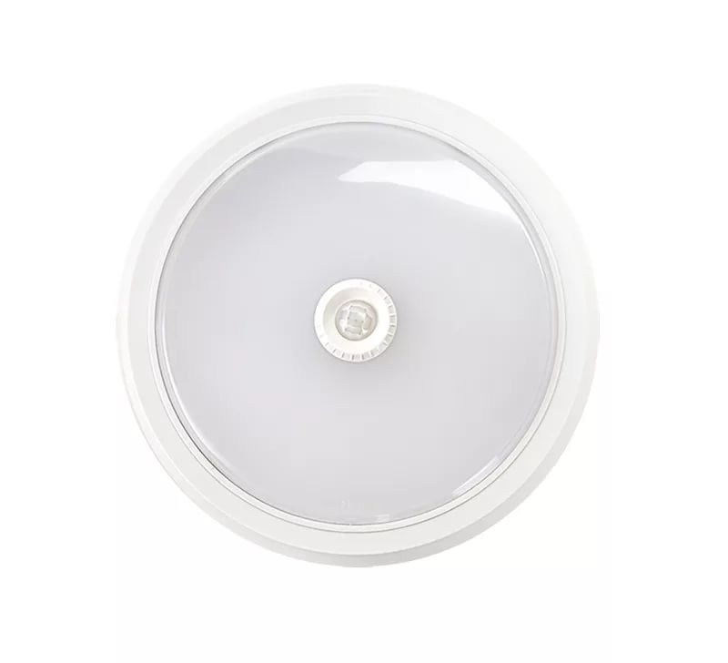 Светильник светодиодный СПБ-2-КРУГ 14Вт 230В 6500К 1100лм 210мм белый IN HOME