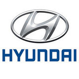 Коврик в багажник Hyundai