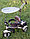 Детский трехколесный велосипед Lexus Grand, фото 3