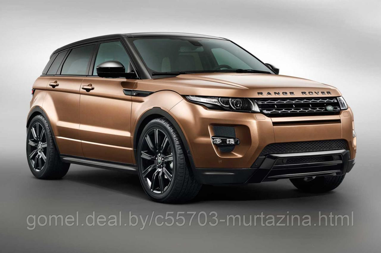 Компьютерная диагностика Range Rover Evoque - фото 1 - id-p61234388