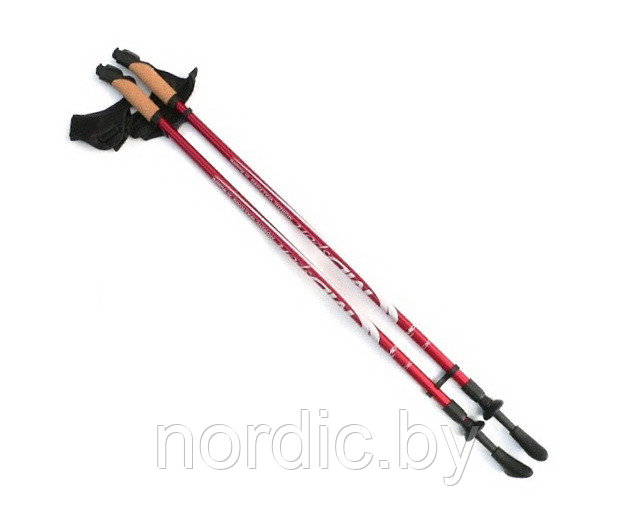 Палки для скандинавской ходьбы CMD Sport - фото 1 - id-p61305025