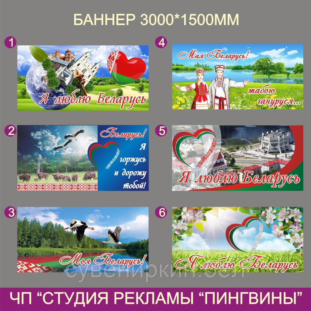 Социальный баннер "Беларусь" "Я люблю Беларусь" - фото 3 - id-p61346286