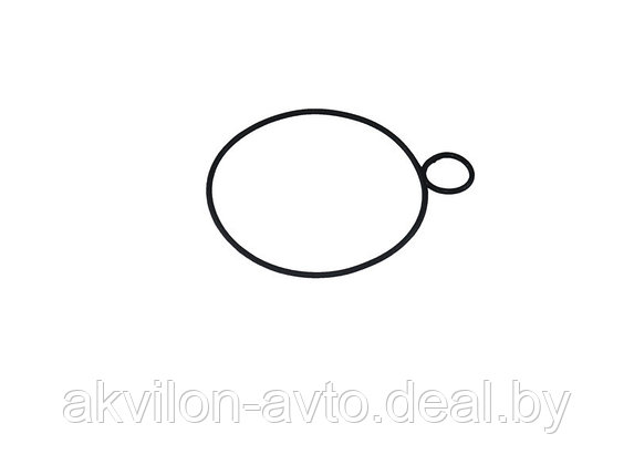 336.1704019 Кольцо уплотнительное насоса КПП (Автодизель), фото 2