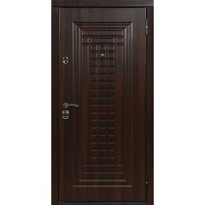 Металлическая входная дверь белорусского производства модель Эридан, фото 1