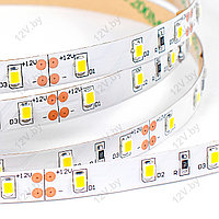 Светодиодная лента SMD 2835 60LED/m 4.8W IP33 12V Белый холодный [E]