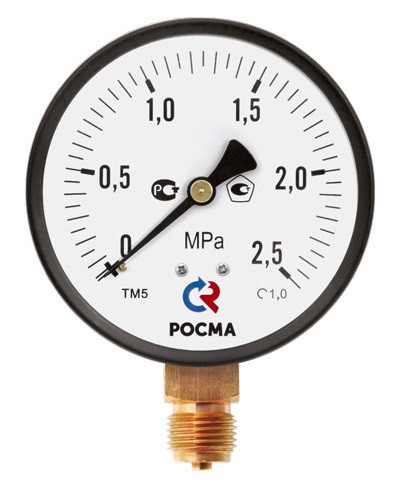 Манометр Росма ТМ-510 серия 10 кл.т. 1,0 0..60 Мпа М20×1,5 или G½ радиальный штуцер