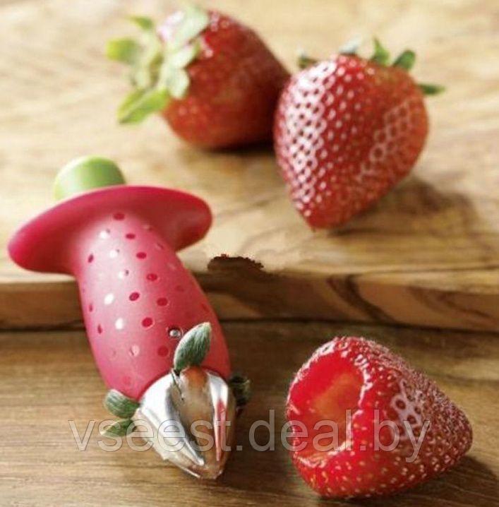 Удалитель хвостиков из овощей и фруктов (Fruits and vegetables stem huller) TK 0128 - фото 2 - id-p61566267