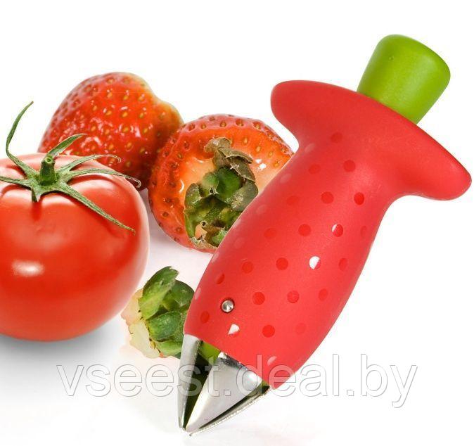 Удалитель хвостиков из овощей и фруктов (Fruits and vegetables stem huller) TK 0128 - фото 6 - id-p61566267