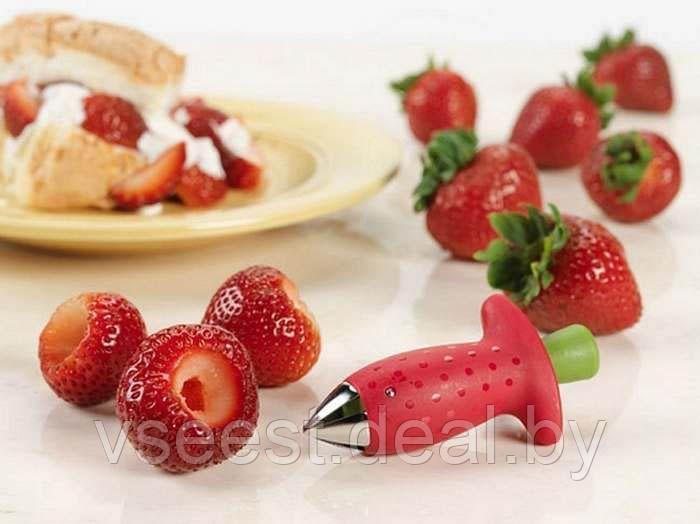 Удалитель хвостиков из овощей и фруктов (Fruits and vegetables stem huller) TK 0128 - фото 8 - id-p61566267