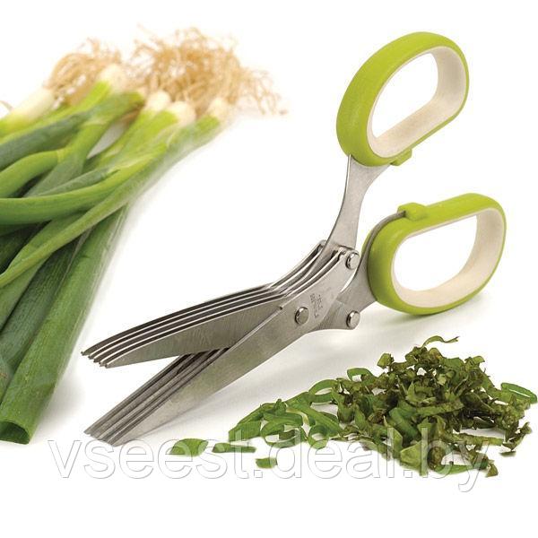 Ножницы для зелени с 5 лезвиями (5 Blade Herb Scissors) TK 0172 - фото 3 - id-p61566290