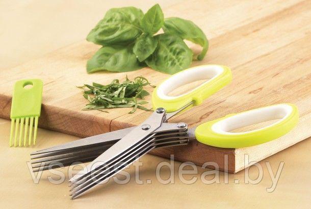 Ножницы для зелени с 5 лезвиями (5 Blade Herb Scissors) TK 0172 - фото 5 - id-p61566290