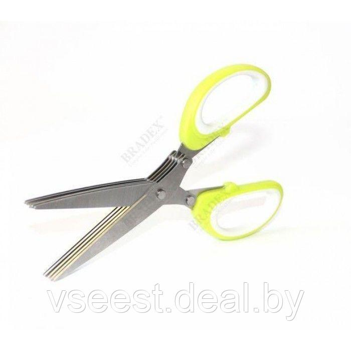 Ножницы для зелени с 5 лезвиями (5 Blade Herb Scissors) TK 0172 - фото 6 - id-p61566290