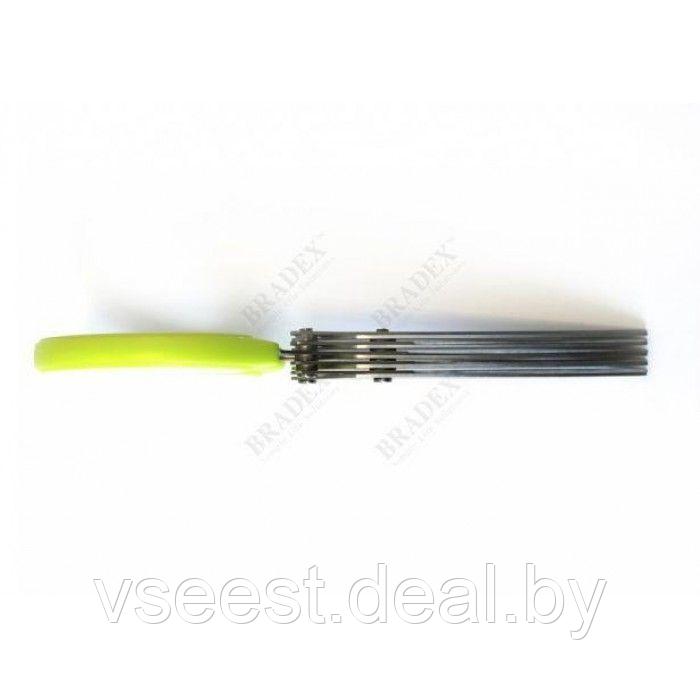 Ножницы для зелени с 5 лезвиями (5 Blade Herb Scissors) TK 0172 - фото 7 - id-p61566290