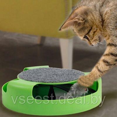 Когтеточка для кошек «Мышелов» (Feline Frenzy Cat Toy) TD 0169, фото 2