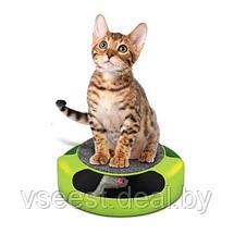 Когтеточка для кошек «Мышелов» (Feline Frenzy Cat Toy) TD 0169, фото 2