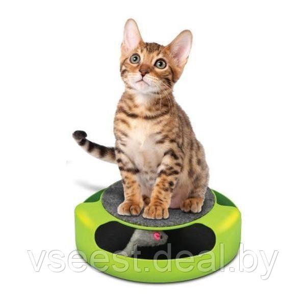 Когтеточка для кошек «Мышелов» (Feline Frenzy Cat Toy) TD 0169 - фото 2 - id-p61566365