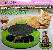 Когтеточка для кошек «Мышелов» (Feline Frenzy Cat Toy) TD 0169, фото 2