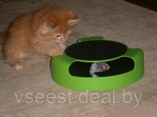 Когтеточка для кошек «Мышелов» (Feline Frenzy Cat Toy) TD 0169 - фото 5 - id-p61566365