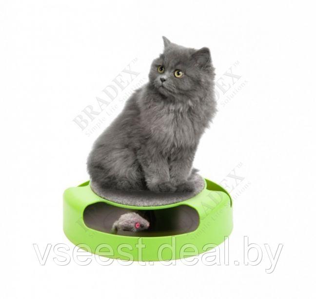 Когтеточка для кошек «Мышелов» (Feline Frenzy Cat Toy) TD 0169 - фото 7 - id-p61566365