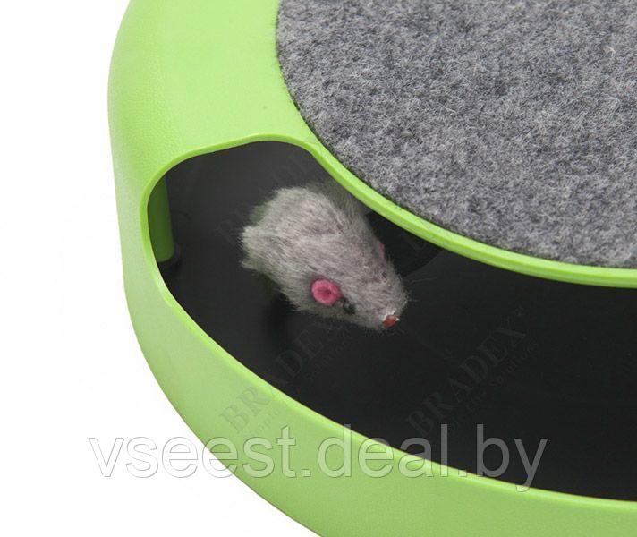 Когтеточка для кошек «Мышелов» (Feline Frenzy Cat Toy) TD 0169 - фото 9 - id-p61566365