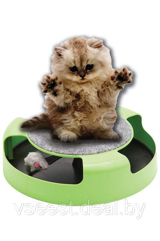 Когтеточка для кошек «Мышелов» (Feline Frenzy Cat Toy) TD 0169 - фото 10 - id-p61566365