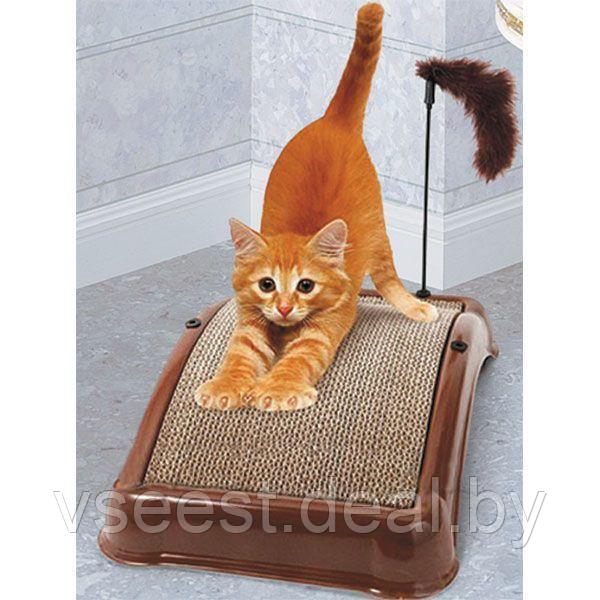 Когтеточка для кошек «Царапка» (Emery cat board) TD 0101 - фото 4 - id-p61566366