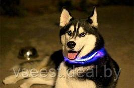 Ошейник для собак светодиодный, S (LED Dog Collar) TD 0172