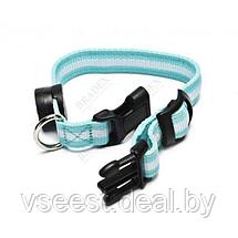 Ошейник для собак светодиодный, S (LED Dog Collar) TD 0172, фото 2