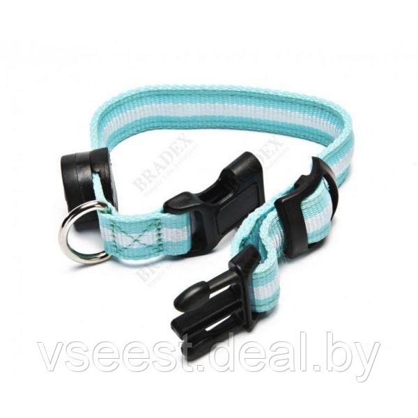 Ошейник для собак светодиодный, S (LED Dog Collar) TD 0172 - фото 2 - id-p61566369