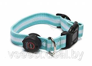 Ошейник для собак светодиодный, S (LED Dog Collar) TD 0172, фото 2