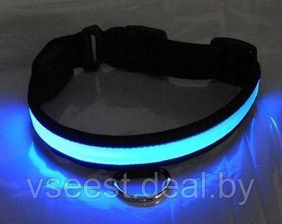 Ошейник для собак светодиодный, M (LED Dog Collar) TD 0173