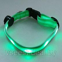 Ошейник для собак светодиодный, M (LED Dog Collar) TD 0173, фото 3