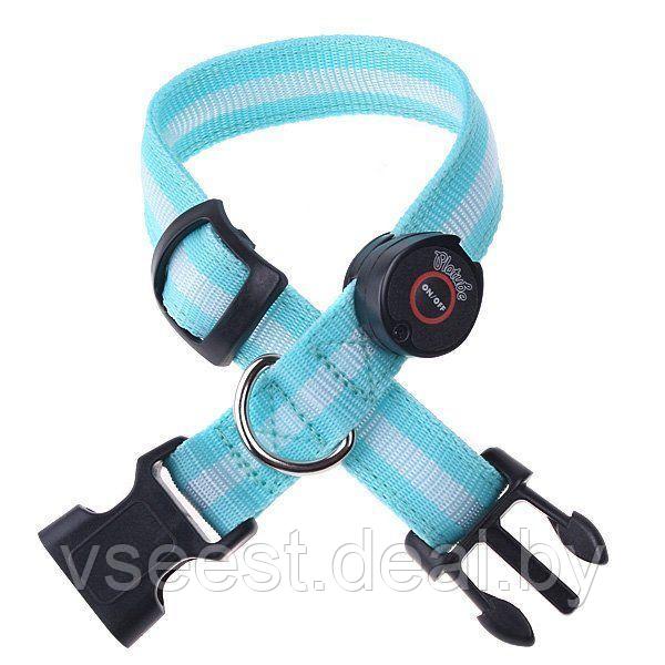 Ошейник для собак светодиодный, M (LED Dog Collar) TD 0173 - фото 5 - id-p61566370