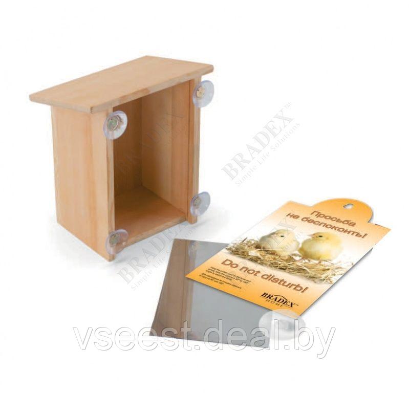 Чудо-скворечник «Шпион» (My spy birdhouse) TD 0312 - фото 3 - id-p61566372