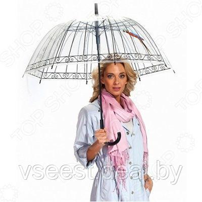 Зонт-трость Пташка в клетке (Umbrella Bird in cage) SU 0010, фото 2