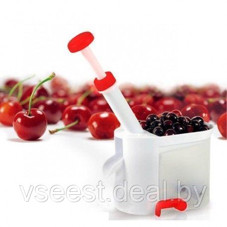 Устройство для удаления косточек Вишенка (Cherry Corer) TD 0083 - фото 3 - id-p61566601