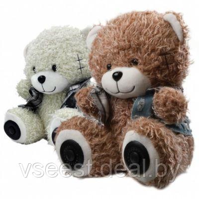 Портативная аудиосистема Ritmix ST-150 Bear Brown ( ios ) - фото 1 - id-p61567176