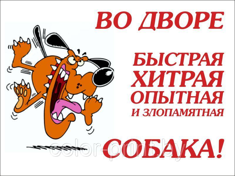 Табличка "Злая собака" 200*150 - фото 1 - id-p61622399