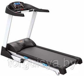 Дорожка беговая American Fitness SPR-NOG6000 (22 км/ч)