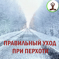 Какой уход должен быть при перхоти?