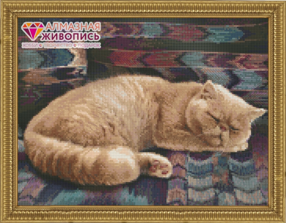 Алмазная живопись "Персидский кот"