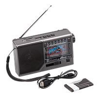 Радиоприёмник Ritmix RPR-151 (FM/AM/SW, USB, MicroSD, аккумулятор) 