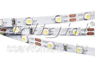 Светодиодные ленты RT 2-5000 12V DAY WHITE (3528, 300 LED, CRI98)