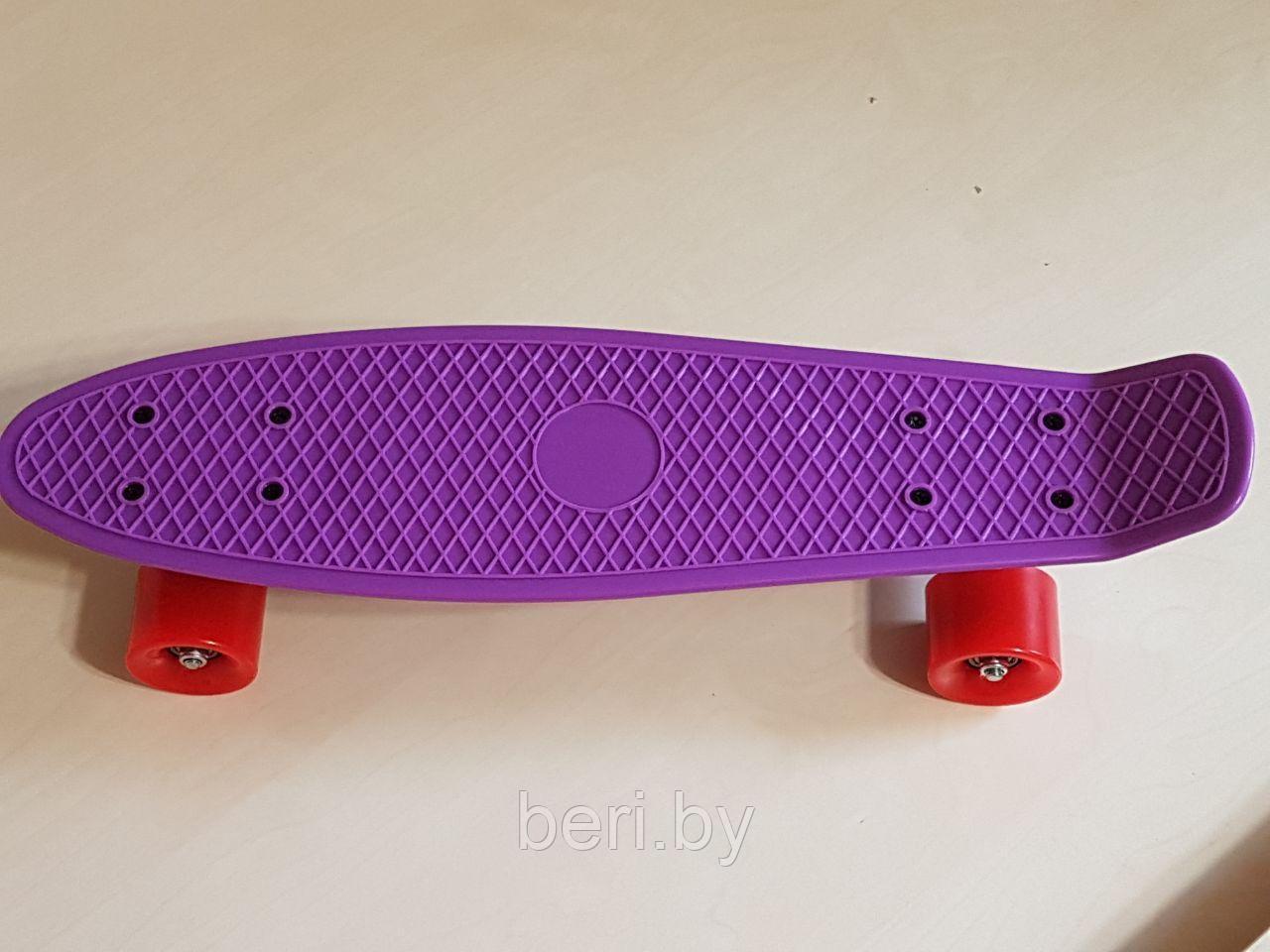 Скейтборд, пенниборд, пенниборд для начинающих Penny Board 56,5 см, арт 350-1 - фото 2 - id-p62169549
