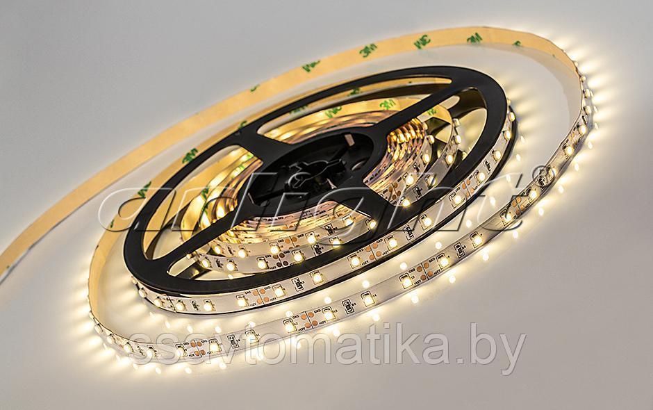 Светодиодные ленты RT 2-5000 12V DAY WHITE (3528, 300 LED, LUX) - фото 1 - id-p62197859