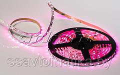 Светодиодные ленты RT 2-5000 12V PINK (3528, 300 LED, LUX)